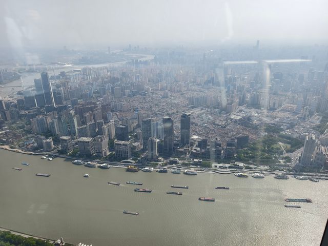 上海之巔打卡指南