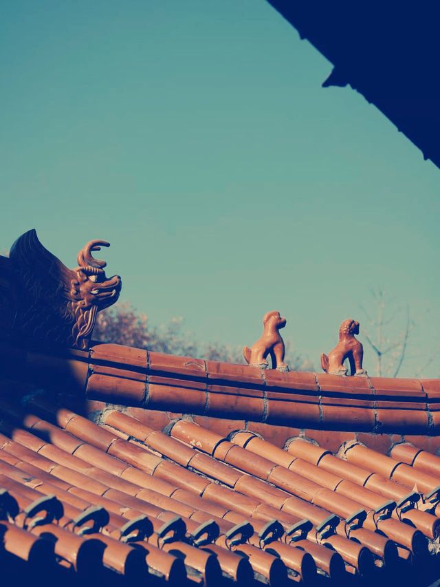 南京鷲峰寺 仏教文化と歴史の旅