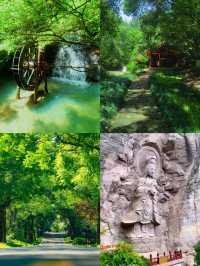 避暑就去武夷山！登天遊峰睇雲海