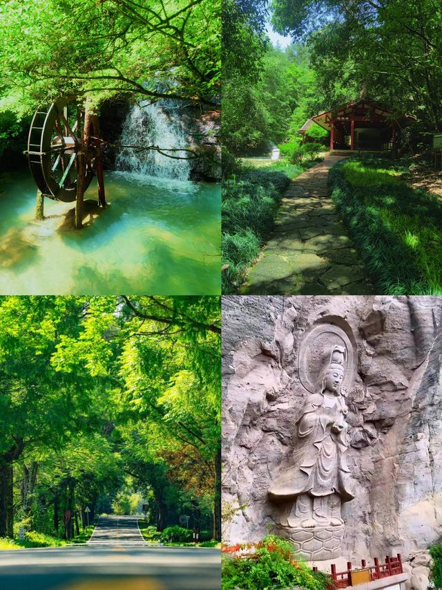避暑就去武夷山！登天遊峰睇雲海