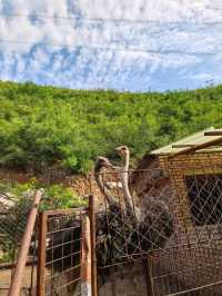 紅林村尋古——黃寶峪古廟遺址