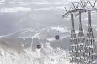 滑雪發燒友必去！正宗粉雪體驗