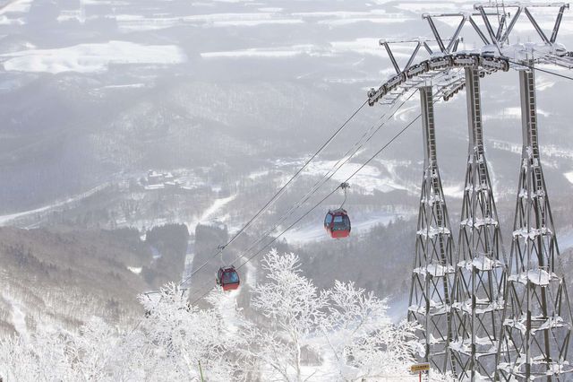 滑雪發燒友必去！正宗粉雪體驗