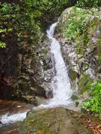寧波秘境虹嶺古道·綠野仙蹤般的溯溪天堂