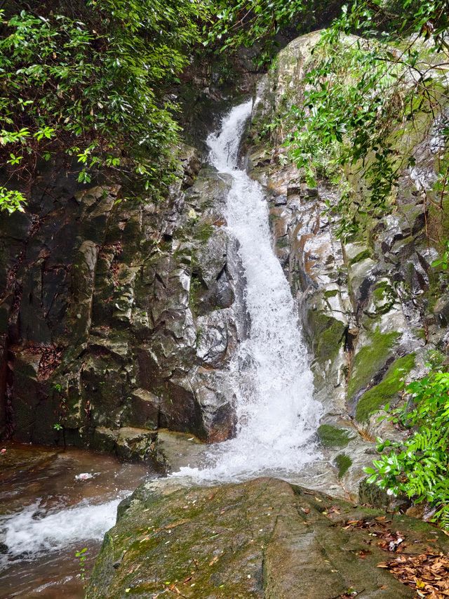 寧波秘境虹嶺古道·綠野仙蹤般的溯溪天堂