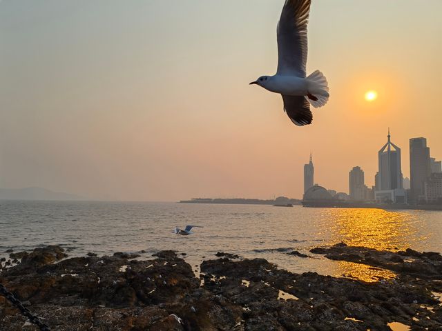 青島三天兩夜微醺之旅，呢座城市真係好啱放空自己，吹住海風飲住啤酒，感受慢活嘅美好 Day1