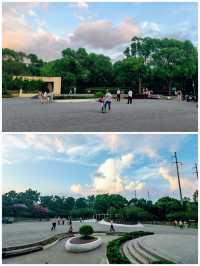 浦發公園 | 夏日綠蔭，散步遛娃超正