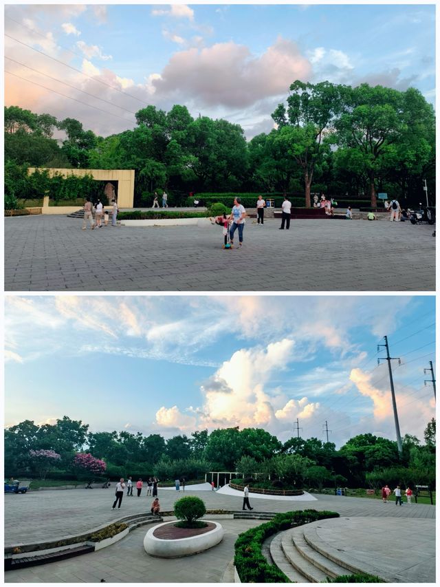 浦發公園 | 夏日綠蔭，散步遛娃超正