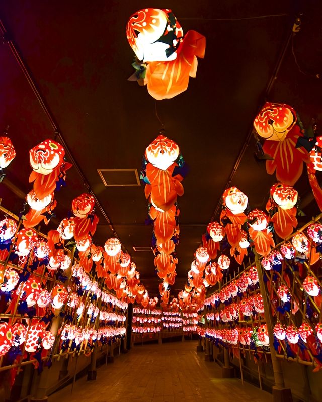 青森屋金魚燈籠夢幻走廊