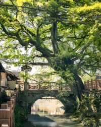 【雲水謠古鎮遊記】一場穿越時空嘅心靈之旅，遇見最純粹嘅美