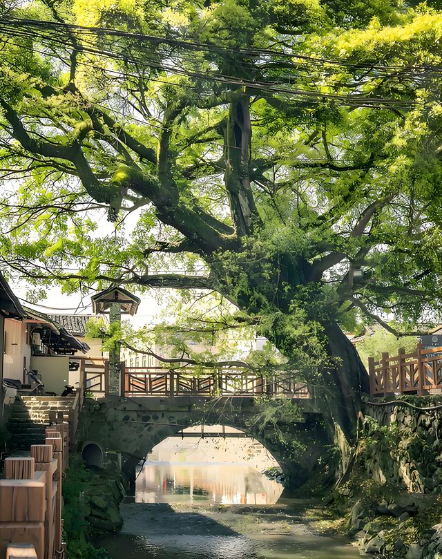 【雲水謠古鎮遊記】一場穿越時空嘅心靈之旅，遇見最純粹嘅美