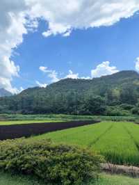 浙江避暑天花板安吉2大秘境28℃太涼快！