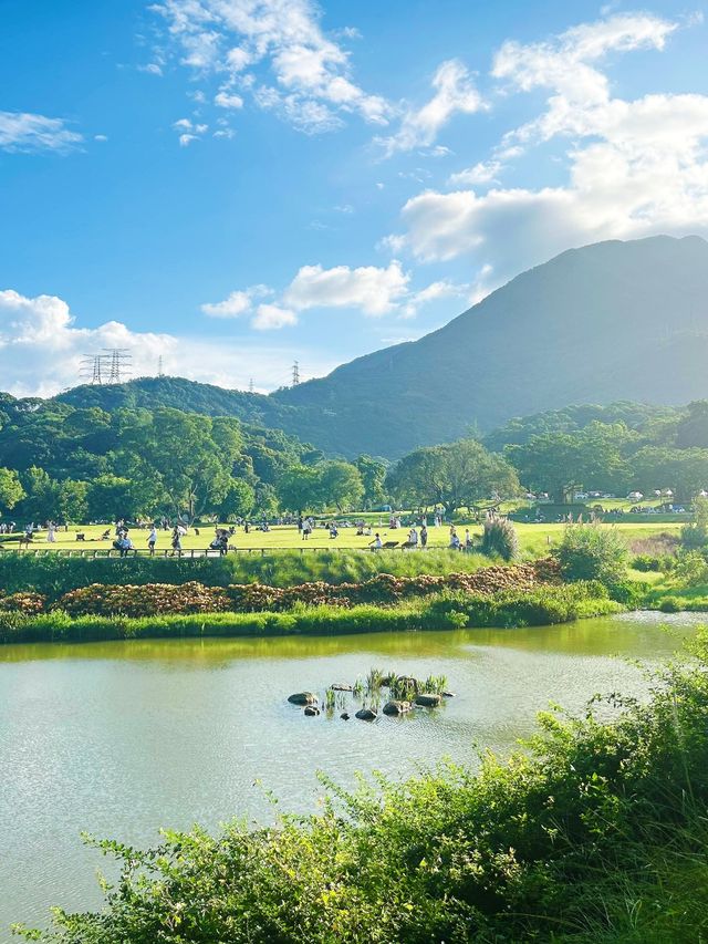 深圳公園天花板恩上濕地公園全攻略
