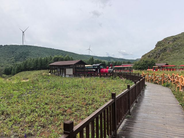 七彩森林度假指南