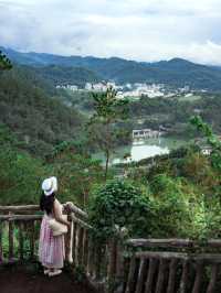 就在廣東信宜住進森林樹屋，天然氧吧！
