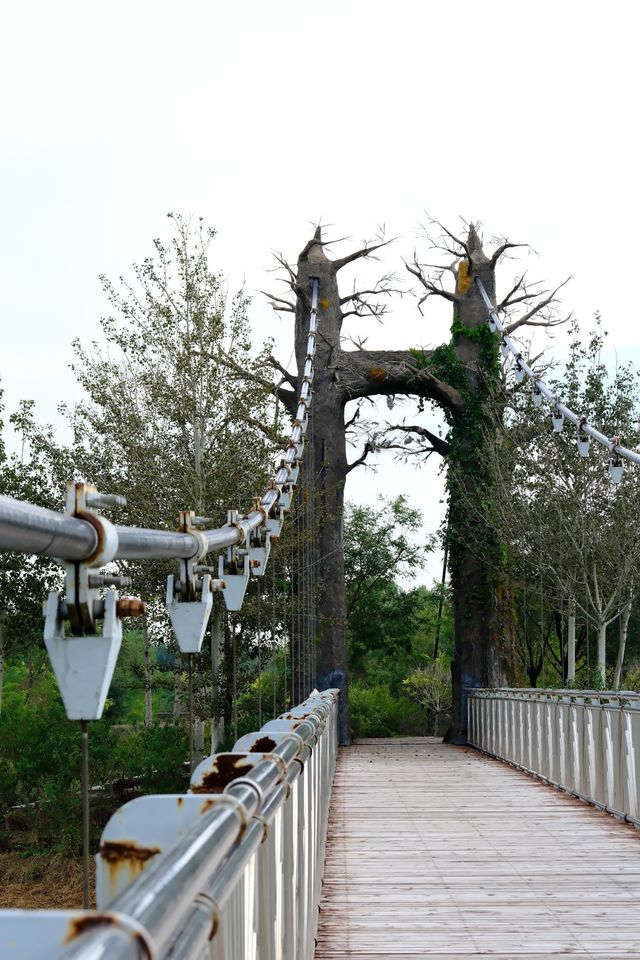 天津小眾秘境｜西青郊野公園遊玩拍照全攻略