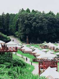 星空下的野奢體驗｜千葉Glamping營地全攻略