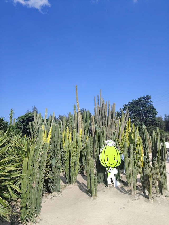 廈門園林博物園：探秘古典園林之美

廈門，這座美麗的海濱城市，不僅因其海灘、島嶼和美食而聞名於世，更