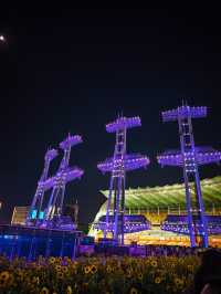 小蠻腰廣州塔絕美夜景