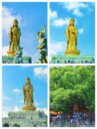 普陀山避坑實錄｜暴走2萬步後，把佛國乾貨和冷知識全扒了?