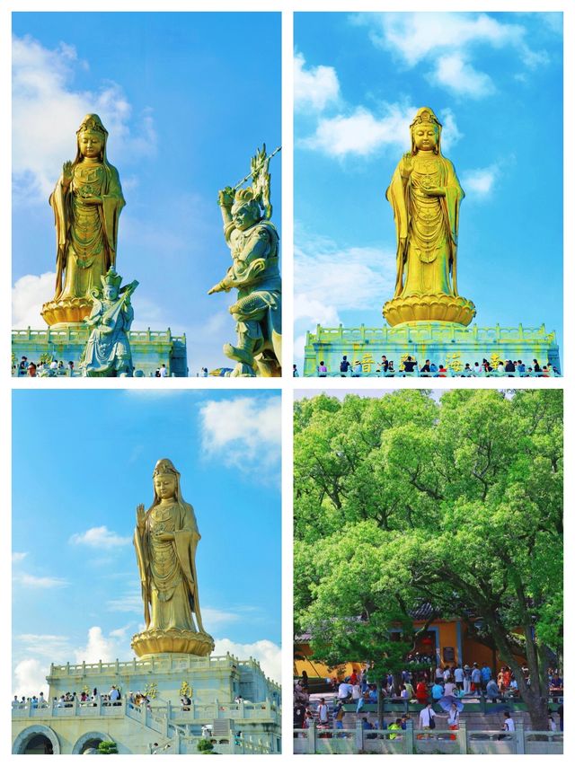 普陀山避坑實錄｜暴走2萬步後，把佛國乾貨和冷知識全扒了?