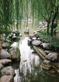 西安‖青龍寺|一花一世界，一步一天涯