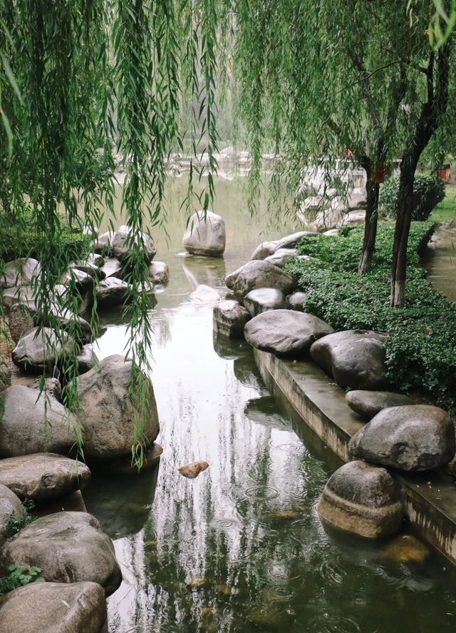 西安‖青龍寺|一花一世界，一步一天涯