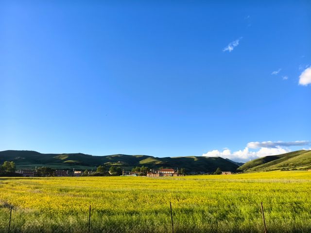 川西秘境｜4天3晚打卡久治阿壩爆款景點蓮寶葉則美哭了！