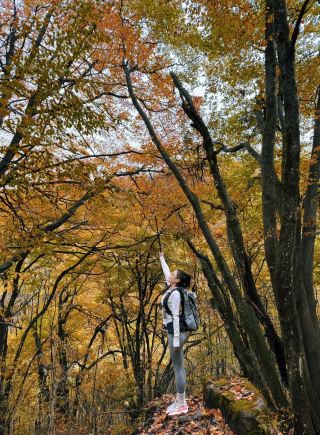 Around Chengdu!! A seriously underrated small town for autumn viewing!! (With travel guide) 