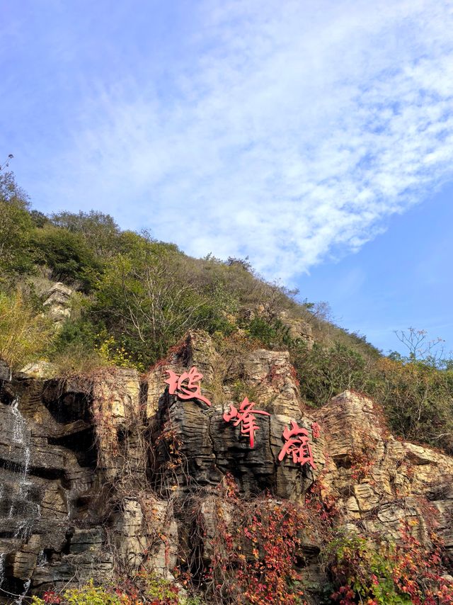 坡峰嶺的紅葉真的很美
