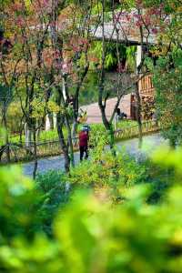 宜昌深秋限定！運河公園美成調色盤，帶娃住這超省心