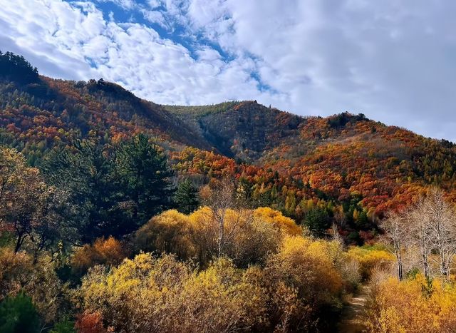 層林盡染,秋日塞壩罕 層林盡染,秋日塞壩罕