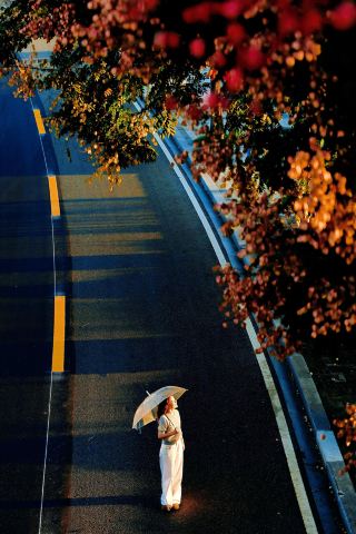 Yichang's Autumn Treasure Spot | Encounter Golden Rain Trees and Poetic Charm at Qu Yuan Culture Experience Hall