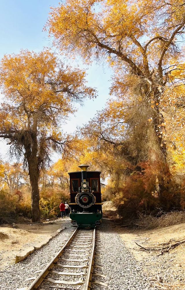 新疆胡楊林秘境解鎖 新疆胡楊林秘境解鎖