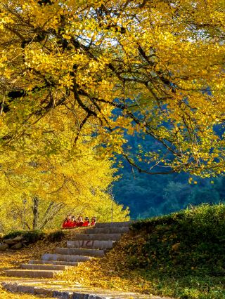 Not Beijing, but Hunan! A hidden autumn secret spot is about to blow your mind