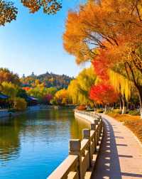 打卡唐風秋韻|邂逅城市邊的詩意與溫柔|收穫滿滿的治癒與快樂