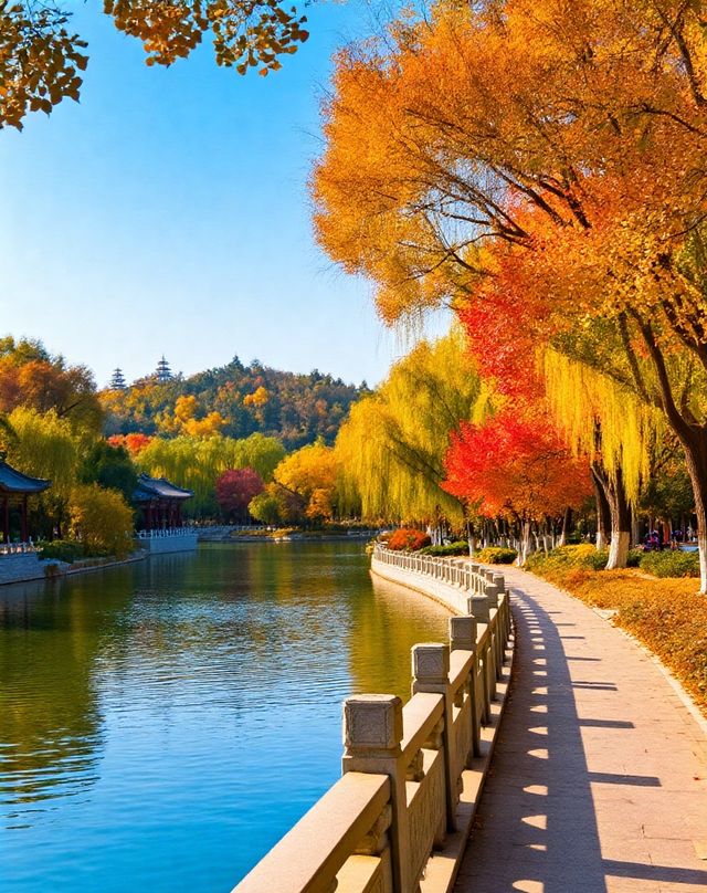 打卡唐風秋韻|邂逅城市邊的詩意與溫柔|收穫滿滿的治癒與快樂