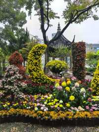 曲水園的菊花展已經幫你們看過了