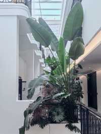 昆明秘境花園打卡點