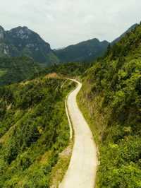 六盤山|闖入大西北的綠野秘境