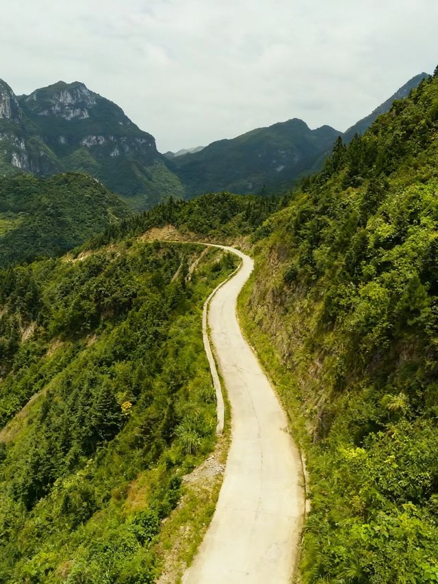六盤山|闖入大西北的綠野秘境 六盤山|闖入大西北的綠野秘境