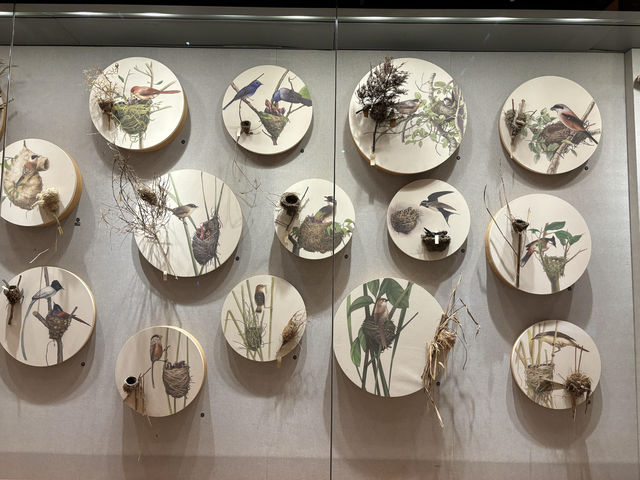 【上海自然博物館·萬物皆可見】超萌攻略來啦！