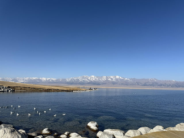 對於在成都忙碌的打工人來說，賽里木湖絕對是讓你暫時逃離都市喧囂、 recharge 能量的完美選擇。