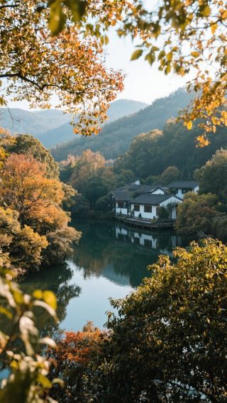 Stay in Manjuelong surrounded by the lingering scent of osmanthus in Hangzhou this November and enjoy an autumn mountain retreat!