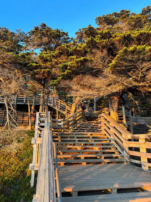No wonder it's called the legendary section of California's Highway 1, definitely worth the trip!