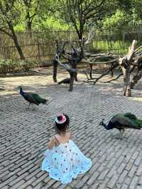 寧波一日遊!寧波野生動物園遛娃全職業攻略!