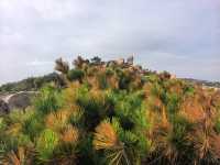 秋日漫步海水不藍的南麂島