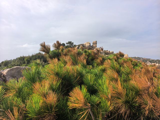 秋日漫步海水不藍的南麂島