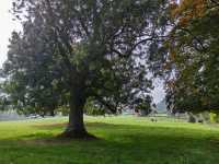 科茨沃爾德必打卡小鎮—斯勞特鄉村探秘