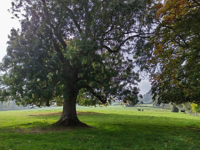 科茨沃爾德必打卡小鎮—斯勞特鄉村探秘 科茨沃爾德必打卡小鎮—斯勞特鄉村探秘